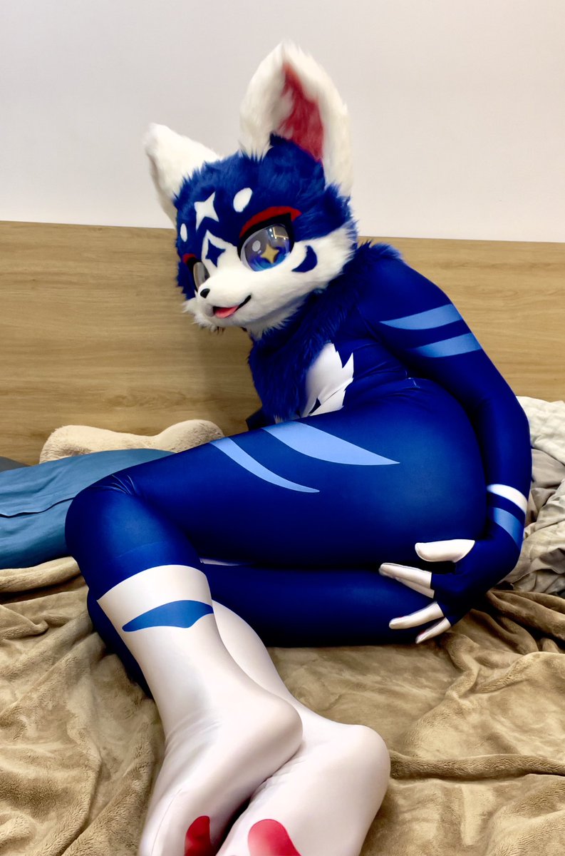 cheseicatto's tweet photo. in heat. Can you help this catto?
#zentai #furry #fursuit https://t.co/BeefWI9nz4