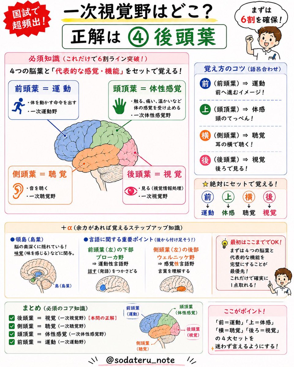 国試対策 国試対策