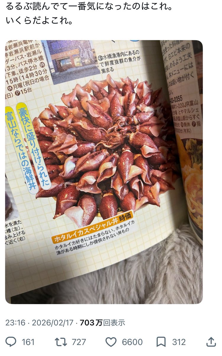 misojiyuu's tweet photo. 行きたいと思ってるるぶ買ってから
5ヶ月経ったのか。
バズった富山に恩返しするために
いっぱいお金を落としたぞ！ https://t.co/5aGSQcJrPQ