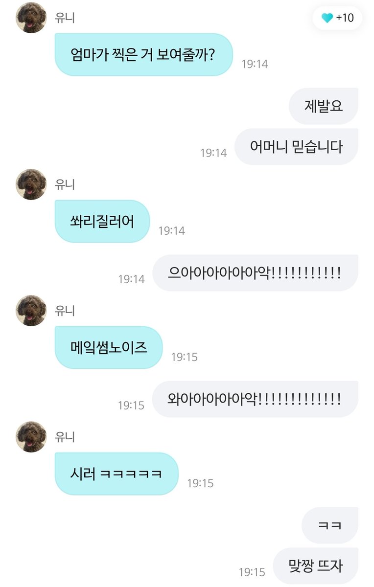 youth_yours4's tweet photo. 쌰갈 https://t.co/3WrDuDm6v7