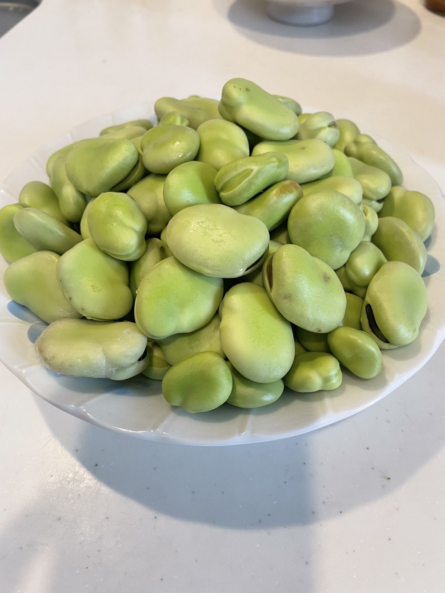 fuusyun's tweet photo. 昨日スーパーにそら豆があったから素揚げにして塩振って食ったらありえんくらい美味かったから大量に買って冷凍ストック🫛
晩酌のレギュラーメンバーにするわ🍺🫛
こんな美味しい物を作ってくれてありがとう生産者さん https://t.co/cKOJ4hSMX1