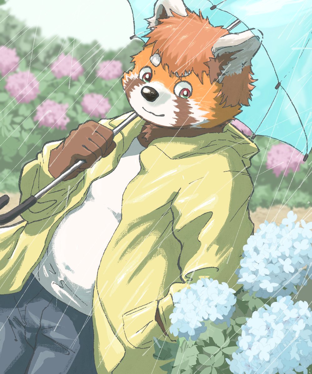 FrederykSun's tweet photo. 梅雨とレッサーパンダ https://t.co/mlUhwCfmEq