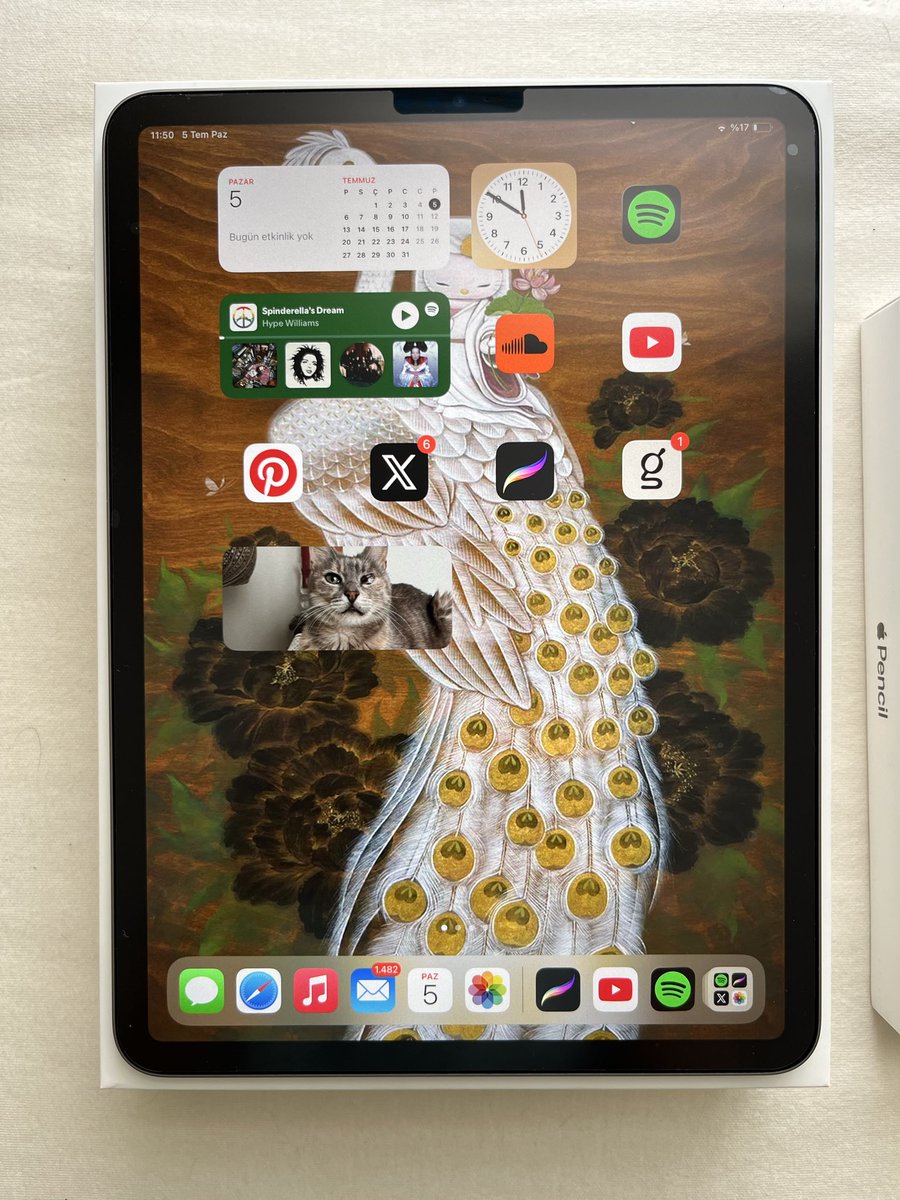 theatreoftragdy's tweet photo. 2023 4. Nesil 11 inç ipad pro ve apple pencil’ımı satıyorum. Geliri kedimin tedavi masrafları için kullanılacak, ilgilenenler dm atabilir https://t.co/KUJklh1Ciw