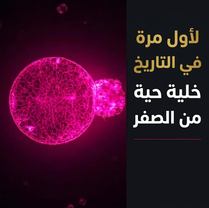 ibn_badys's tweet photo. - عندما يكتب أحد الملاحـدة البصمجية منشورا ثم يتسابق محرروا المجلات الصفراء على تناقل المنشور دون تدقيق ولا بحث:
( تخليق أول خلية حية في التاريخ! )
( خلية حية صناعية من الصفر! )
هؤلاء محررون لا يعرفون شيئا في الدين مش بس في العلم!
المهم عندهم هو الخبر المثير اللي يحصل على أعلى التفاعلات، ولو أوقع الشك في قلوب البسطاء فلا بأس!

حقيقة الخبر العلمي هي كالتالي:

1- يقول الخبر أن: "هذه الخلية من الصفر وأنها تنمو وتنقسم"، وهذه مضحكة العام!
فكل ما في الأمر أن العلماء صمموا حويصلة محاطة بغشاء دهني بها جسميات صغيرة غير حية وأضافوا لها ريبوسومات Ribosomes  أخذوها من خلايا حية، وتَجري في هذه الحويصلة تفاعلات كيميائية فتتسع بالخاصية الإسموزية وبعد ذلك يتم الضغط عليها بعوامل فيزيائية ميكانيكية فتنقسم.
فالذي يحصل ليس نابعا من وعي خلوي أو نشاط حيوي.
والجسيمات غير الحية ظلت غير حية.

3- إذن فالحويصلة ليس فيها حياة ولم تنتج ولو أبسط صورة من صور الحياة.
فلا هي خلية ولا هي حية.

3- لا يوجد في تاريخ المختبرات العلمية في كل العالم حتى هذه اللحظة مَن استطاع تحويل مادة غير حية إلى مادة حية، أو توليد حياة بأي صورة.
وهذا في حد ذاته قاصمة ظهر الإلحـاد:
إذ كيف لجامعات العالم ومختبرات العالم بكل عقولها وتمويلاتها، ألا تقدر على إنتاج ولو أبسط صور الحياة، بينما فعلتها بيئة الأرض البدائية البسيطة الأولى فأنتجت: الحياة والبكتريا والإنسان؟

لكن السؤال هنا: لماذا تستهدف جرائد بتمويلات مسلمين أبناء المسلمين بهذه المعلومات المضللة الكـاااذبة الفجة؟

لماذا يتم استغلال عدم تخصص القاريء لزعزعة إيمانه ونفسيته، بدافع إحداث التفاعلات على المنشورات؟

ما الفرق بين هذه الجرائد الإخبارية وبين البصمجي المرتد الذي يسعى لتشكيك المسلمين في دينهم بهذه الأخبار ( خ. م. )؟
#البصمجي_المرتد