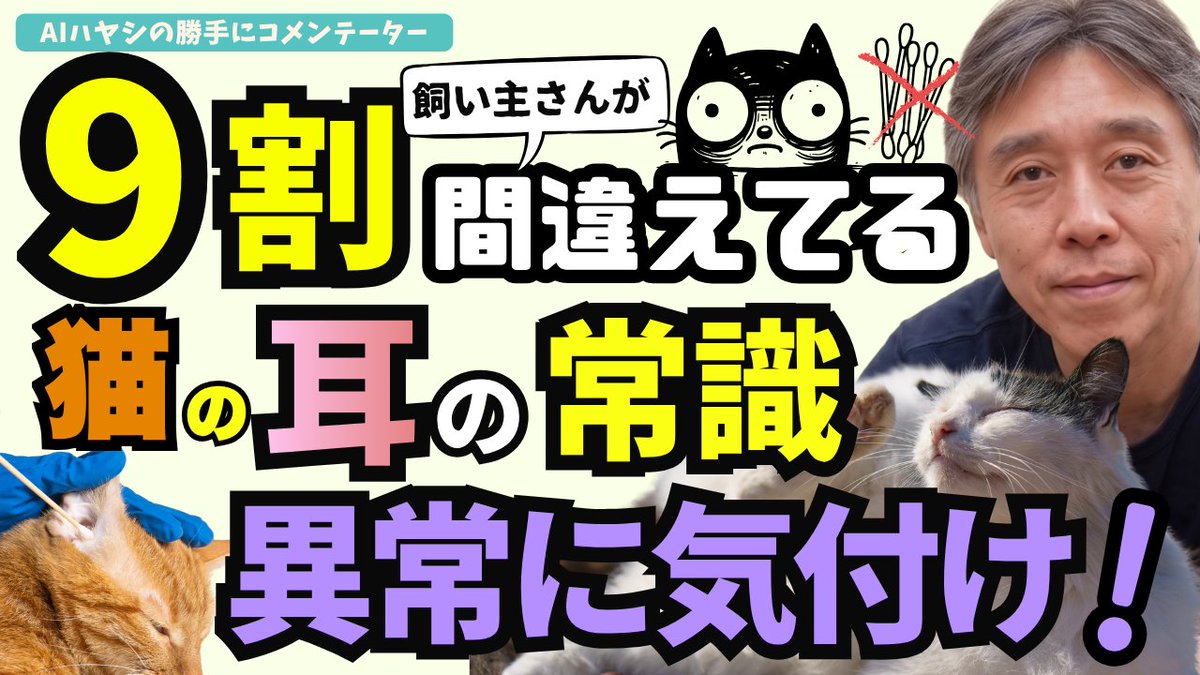 noah_vc2022's tweet photo. 【獣医師が解説】猫の耳の常識～9割の飼い主さんが間違えています～5つの間違いと3つの今日からできる対策

動画はリプから！
これは絶対見てほしい！ https://t.co/gmwO25rI7x