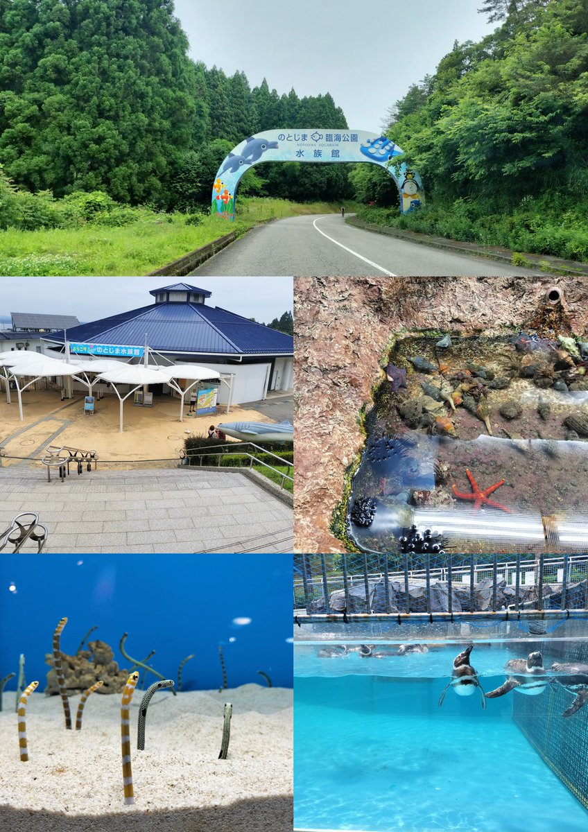 arkreactor01's tweet photo. 今日は能登島へ🐬
ひとり水族館でイルカショー見てお魚見てペンギン見てと楽しみました

夜は水族館の余韻冷めやらずお寿司で😆ネタ厚いしウニ入って2500円位はお得！ https://t.co/or1qA4PCDg