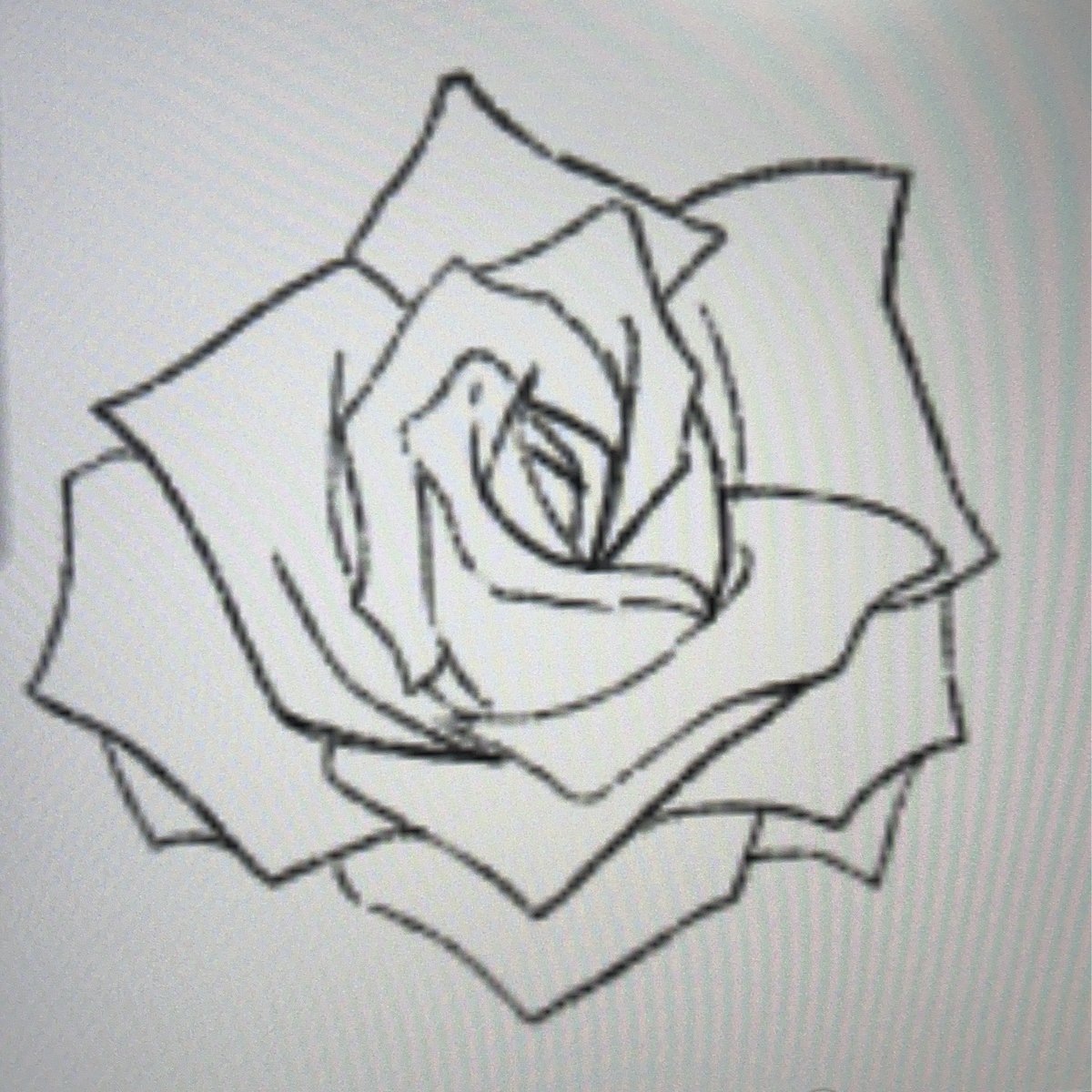 satcho3moon's tweet photo. 薔薇描いてます https://t.co/34J6j62F00