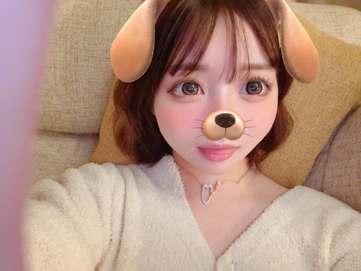 _ruru_0317_'s tweet photo. クッキーメイクをしてケバくなったワンコ https://t.co/8d6Re5K2Ux