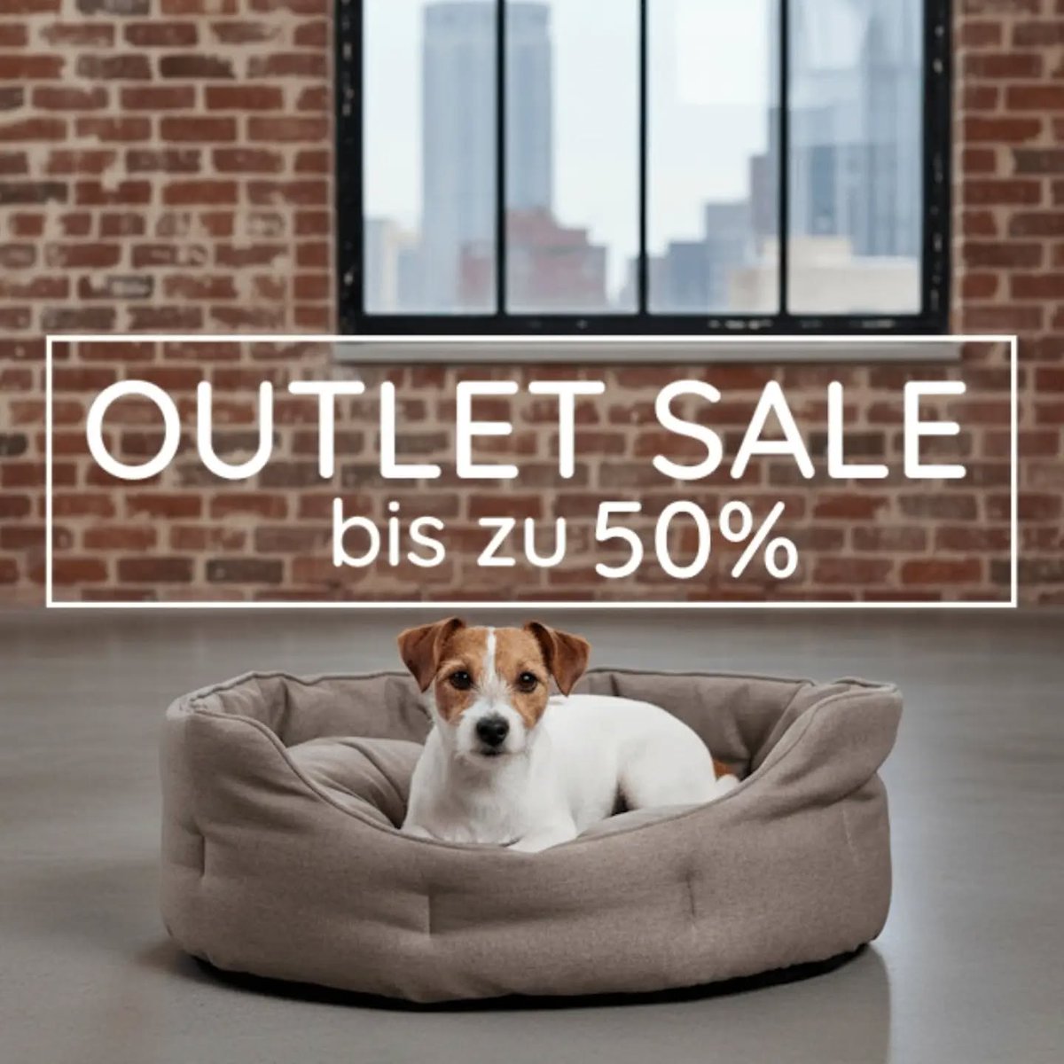 DOGS_InThe_CITY's tweet photo. Entdecke Neuheiten in unserem Outlet! welovedogs dogsinthecity Hundekörbchen Hundekissen handmade designfordogs #welovedogs #dogsinthecity #Hundekörbchen #Hundekissen #handmade https://t.co/4nuL9u37s6