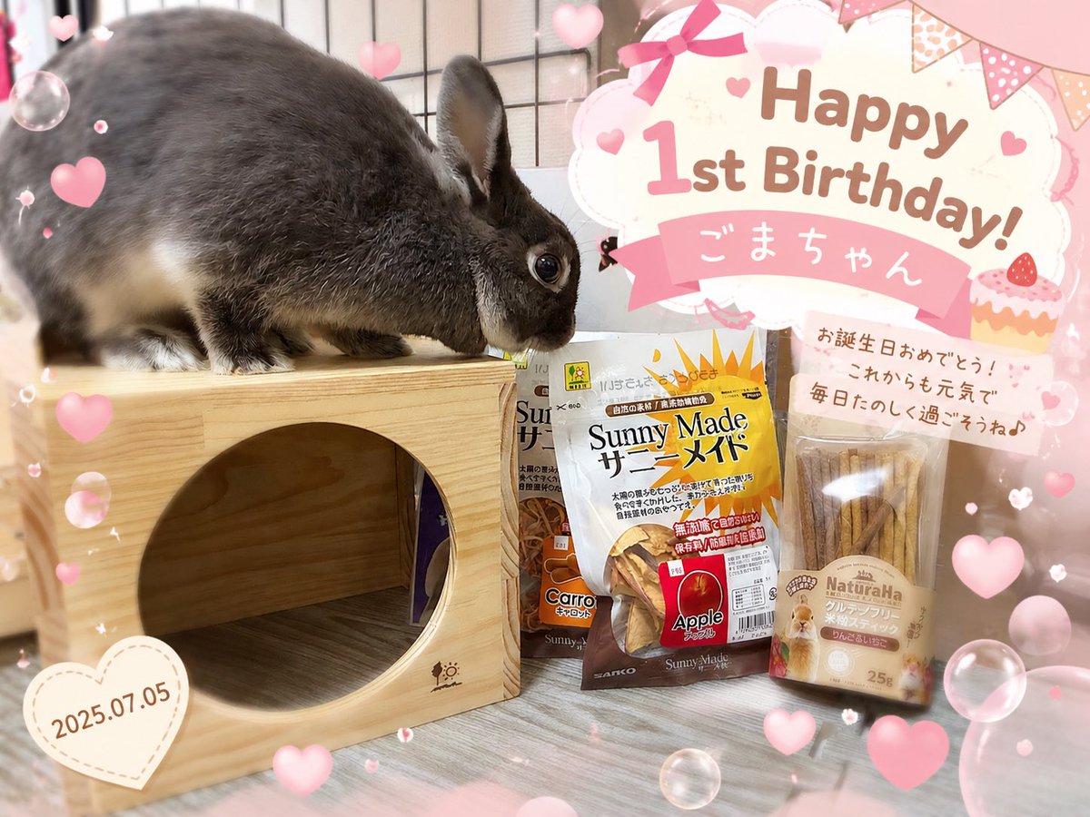 ur1__35's tweet photo. ごまちゃん1歳のお誕生日おめでとう🎂🎉

怪我なく病気なく1歳を迎えられて嬉しい♪( ◜ω◝و(و "

ウチに来てくれて本当にありがとう♡

#うさぎの居る暮らし #ネザーランドドワーフ 
#うさぎ好き https://t.co/HJd85C5QWs