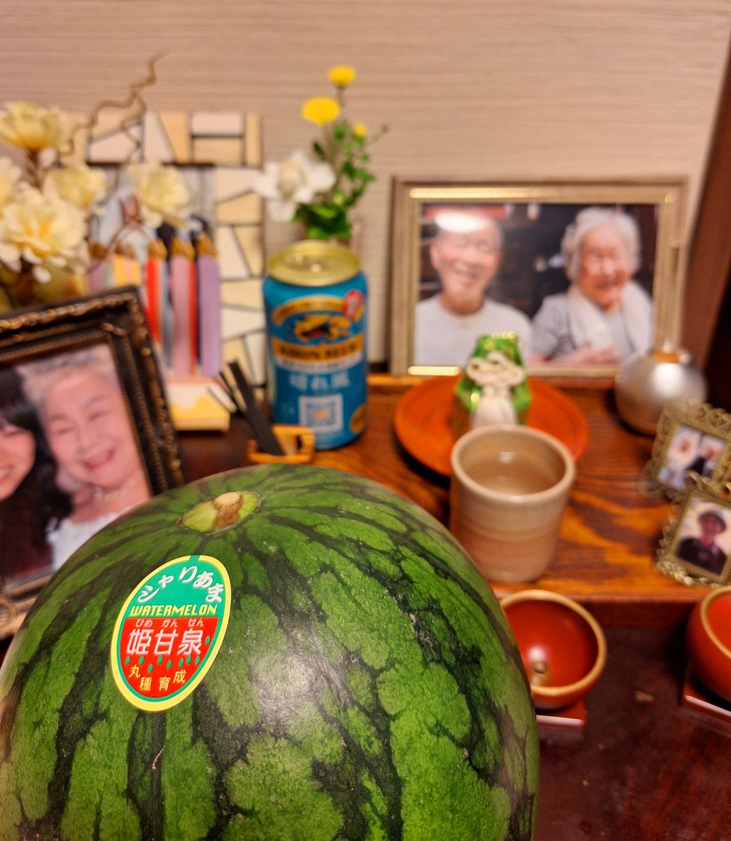 amacana's tweet photo. 父の命日に、余所様の葬儀～骨上げ～精進落としまで親族に混じってお邪魔してきて…両親がいなくなって久々に家族の集いという輪に参加して…ちょっと懐かしい感覚を思い出しそれを楽しんでいる自分がいた。父には庭のクチナシとマムを、小玉スイカと新しいビールもお供え☆ https://t.co/W81QbQfN4G