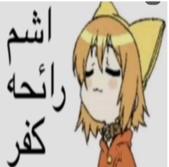 sl3yni's tweet photo. @Ahmed59281197 @abdo_138 https://t.co/2jAtSYuK67