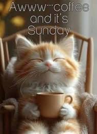 MacCleod's tweet photo. @PeopleEater333 
Morning!🤘☕️☀️
Happy Sunday! Hope it’s a good and relaxing one fo you my friend, with good coffee to sip on.🥱☕️☀️ https://t.co/I7Rjk7imrj