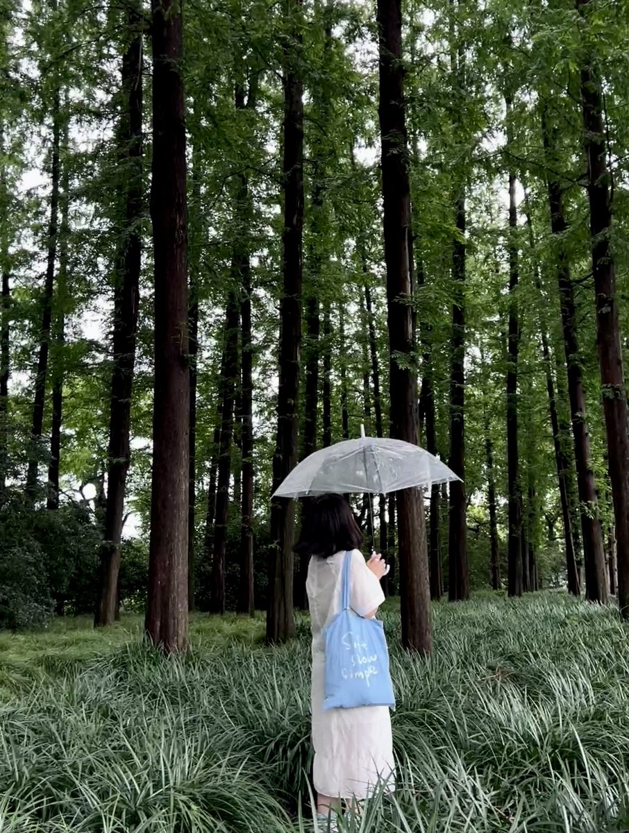 lanxiaogua's tweet photo. 雨天
西湖
荷花 https://t.co/xtgxPbeiEN