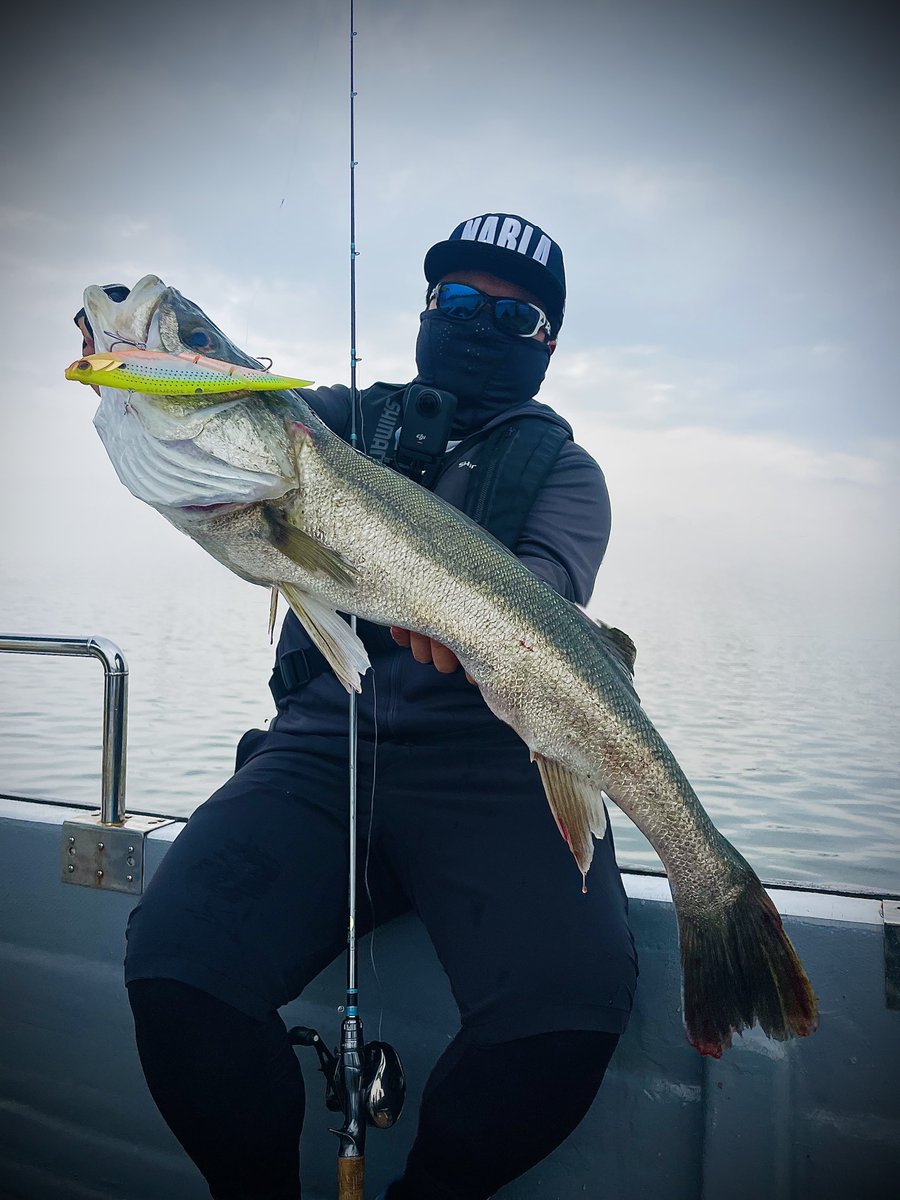 yuuufishing's tweet photo. 久々ビッグベイトシーバス！
ナイスランカー🙌 https://t.co/LGq4bRxe26