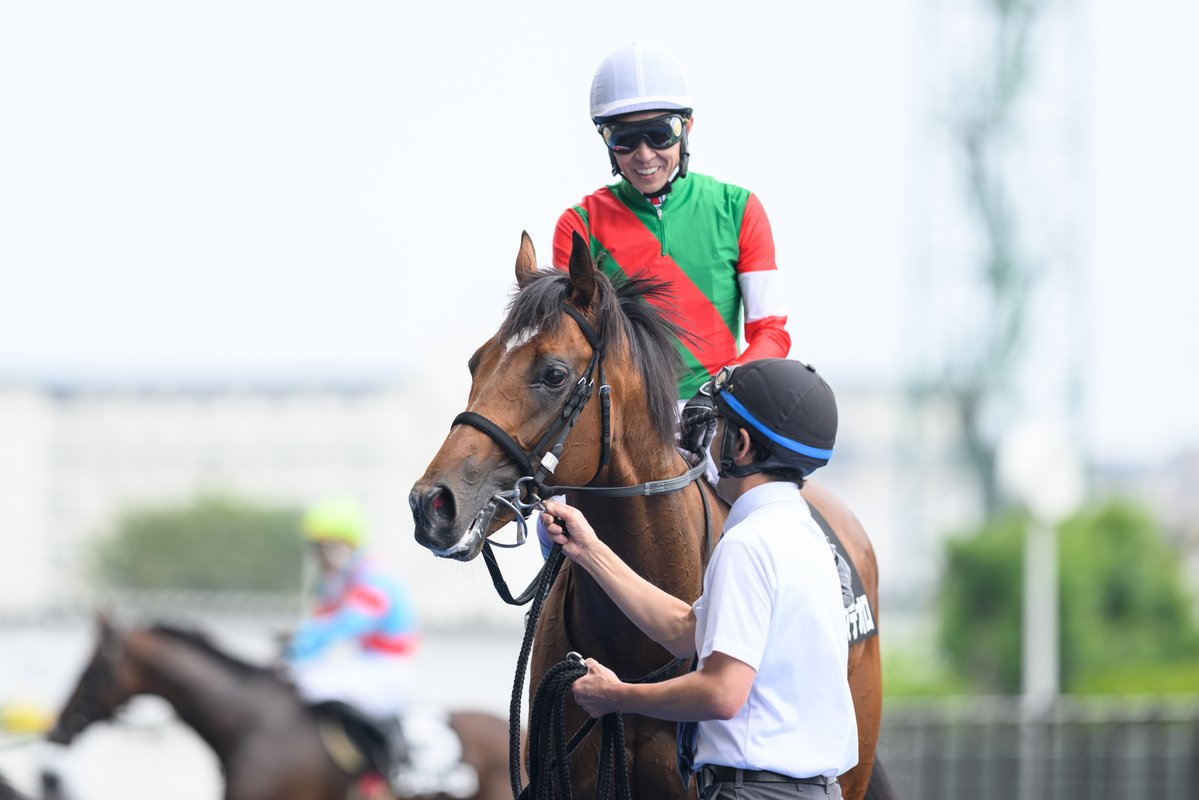 netkeiba's tweet photo. 函館10R 横津岳特別 3歳上2勝
#アルマデオロ
#武豊
父レイデオロ
母シュガーハート
半兄キタサンブラック/シュガークン

函館11R 大沼S リステッド
#ワイドブリザード
#浜中俊
父カリフォルニアクローム
母ハナフブキ
同産駒はこの日函館で3戦3勝。
撮影：山中博喜 https://t.co/1rgg6qD4ee