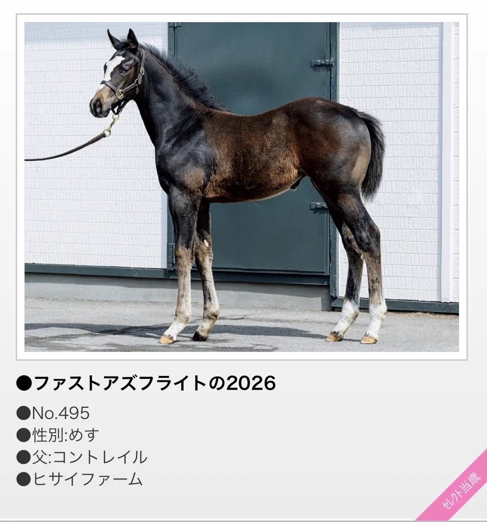 株式会社 ジェイエス&アロースタッド on X: 