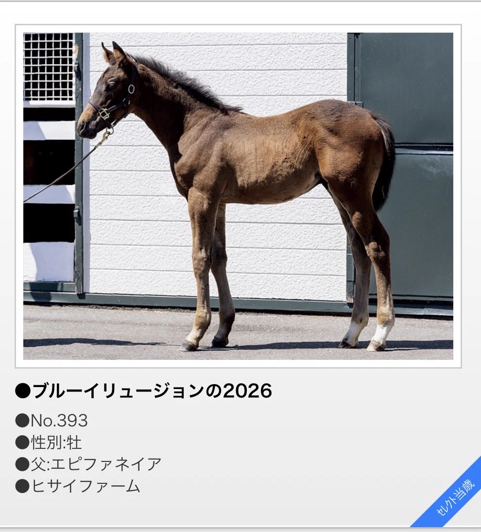 ガレガレ2026 フェーヴ　馬 株式会社 ジェイエス&アロースタッド on X: 