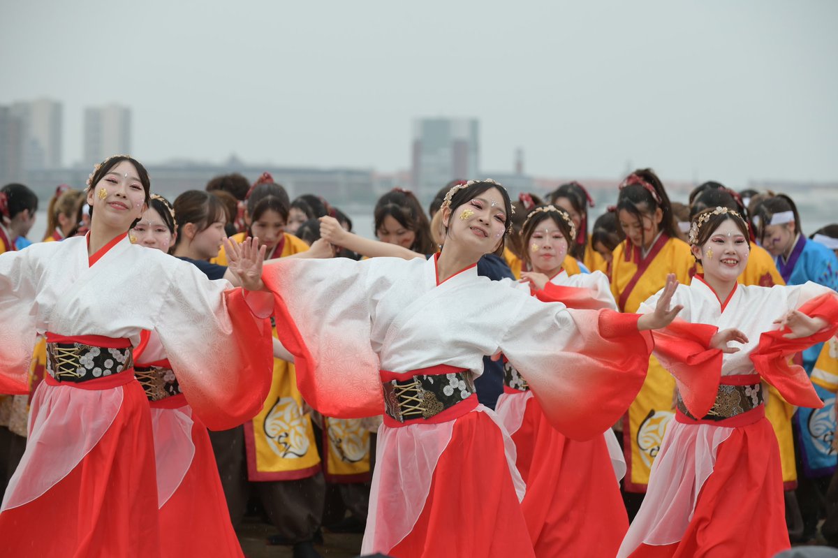 yosa_pic's tweet photo. Sailing KOBE
大阪公立大学　チーム朱蘭さん
「賑祝（にぎわい）」
演舞写真📸

ご希望であればGoogleフォトでお渡しさせて頂きます。

#SailingKOBE
#大阪公立大学チーム朱蘭
#朱蘭
#賑祝 https://t.co/fGzoWqUrJJ