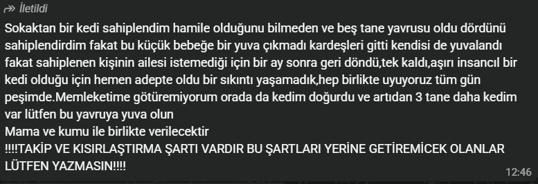 LAB_Comics's tweet photo. Selamlar, yakın arkadaşımın böyle bir ilanı var da paylaşabilirseniz sevinirim.

İletişim için: 0534 289 20 51 https://t.co/Z8ElESVwXD