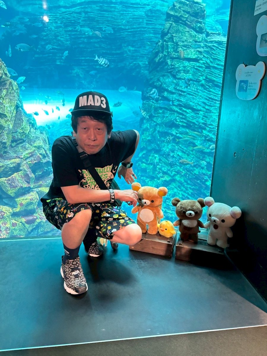 fastde69's tweet photo. 長い時間過ごさせて頂きました🫡
ありがとう御座いまっした上越水族館うみがたり様、またお邪魔すると思います🤩 https://t.co/cNL5m9DoQg
