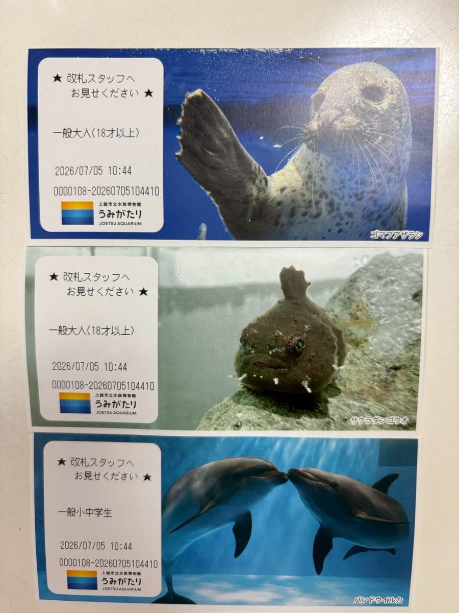 fastde69's tweet photo. 長い時間過ごさせて頂きました🫡
ありがとう御座いまっした上越水族館うみがたり様、またお邪魔すると思います🤩 https://t.co/cNL5m9DoQg