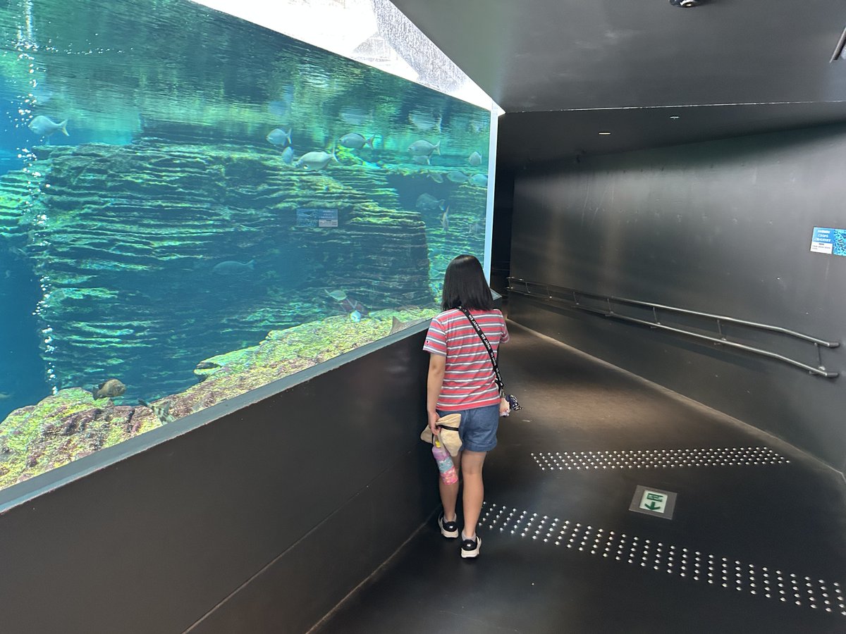 fastde69's tweet photo. 長い時間過ごさせて頂きました🫡
ありがとう御座いまっした上越水族館うみがたり様、またお邪魔すると思います🤩 https://t.co/cNL5m9DoQg