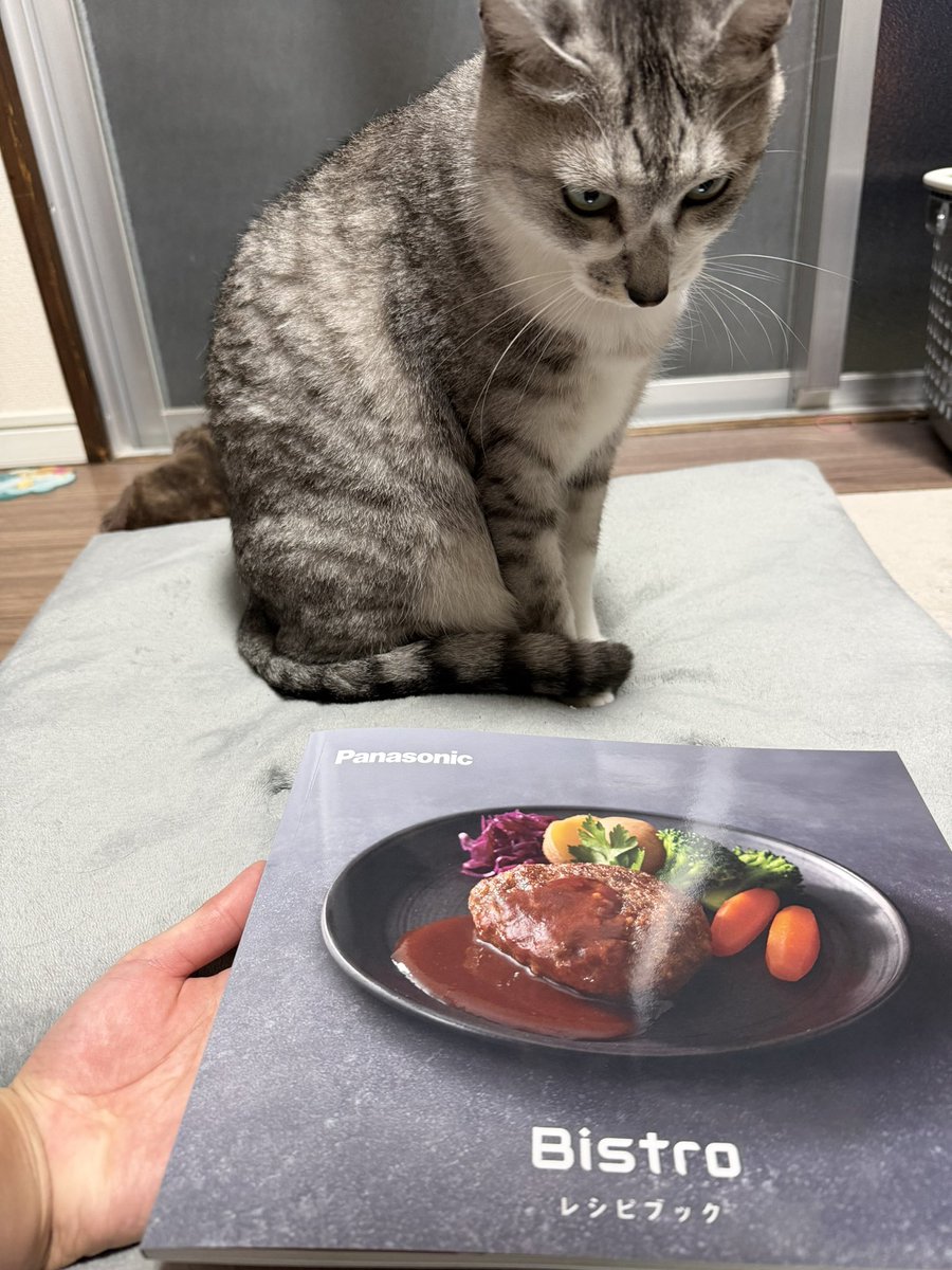 s85a128's tweet photo. ビストロ届いた！！早く引っ越したい！
11月末予定を今日内見して欲が高まったから9月中旬に今の家を解約届けだした！ https://t.co/VbfFTRHvRe