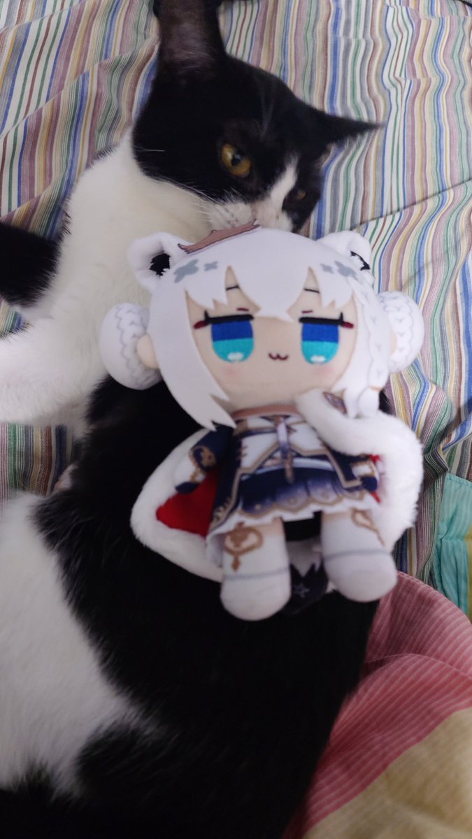 フブちゃんと仲良くて何よりですぅ #すこん部