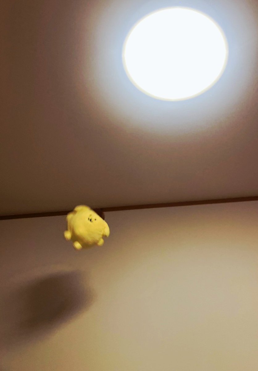 asai_music's tweet photo. ポムポムプリン投げてたら日曜日が終わった https://t.co/LYdqMIQLgR