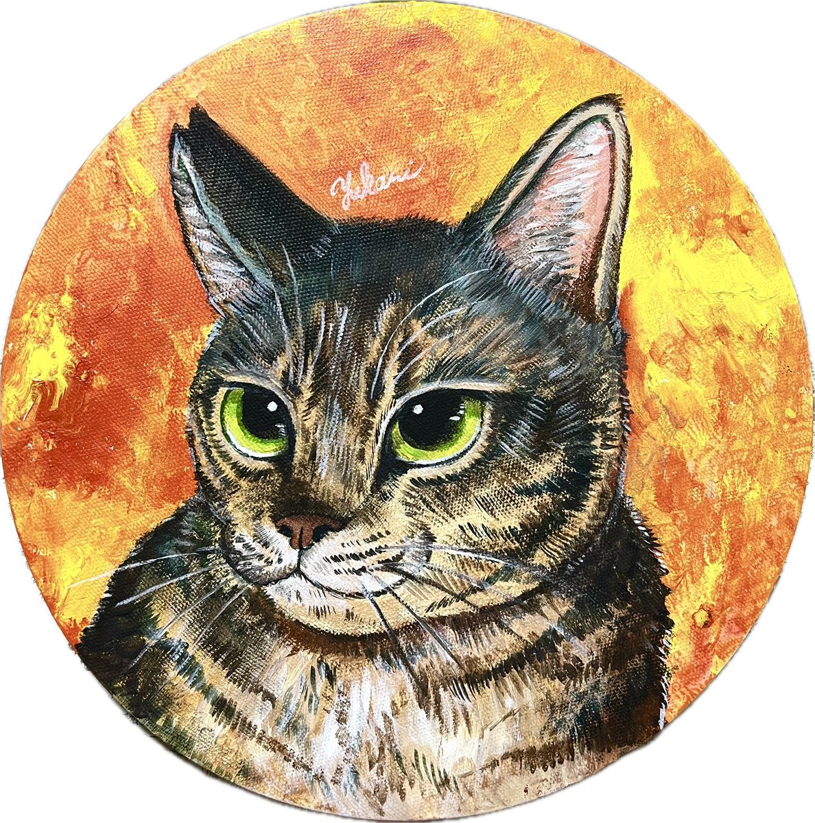アクリル画猫のイラスト 完成しました🌟 #猫 #イラスト #アクリル画
