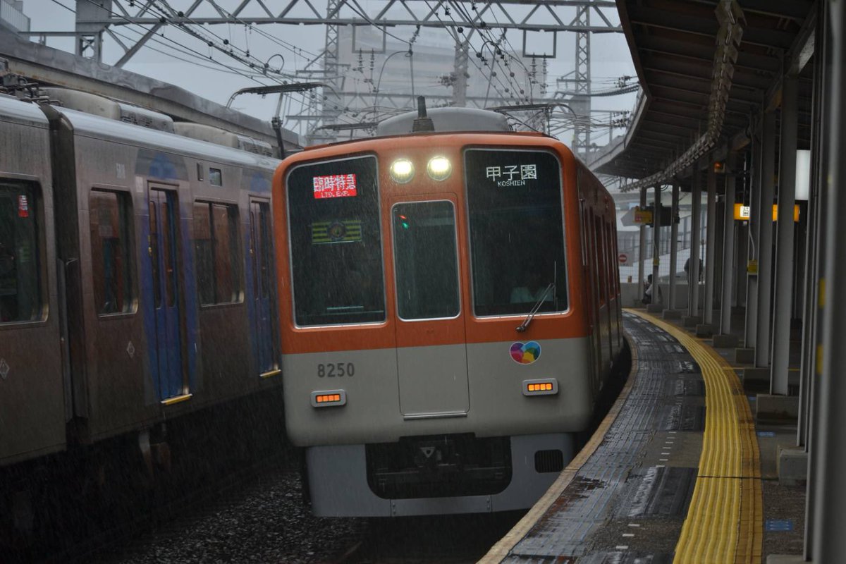 haI4Mgz7W08RoRI's tweet photo. 2025年7月5日
臨時特急運用
8233編成
8249編成
9201編成
が入りました。 https://t.co/WDpsp0saat