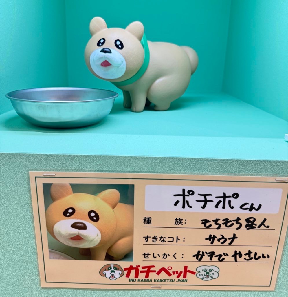 m8exGh7a3nfctFe's tweet photo. ガチでやさしいポチポくんがいるでちゅ！ https://t.co/V9swPwovrw