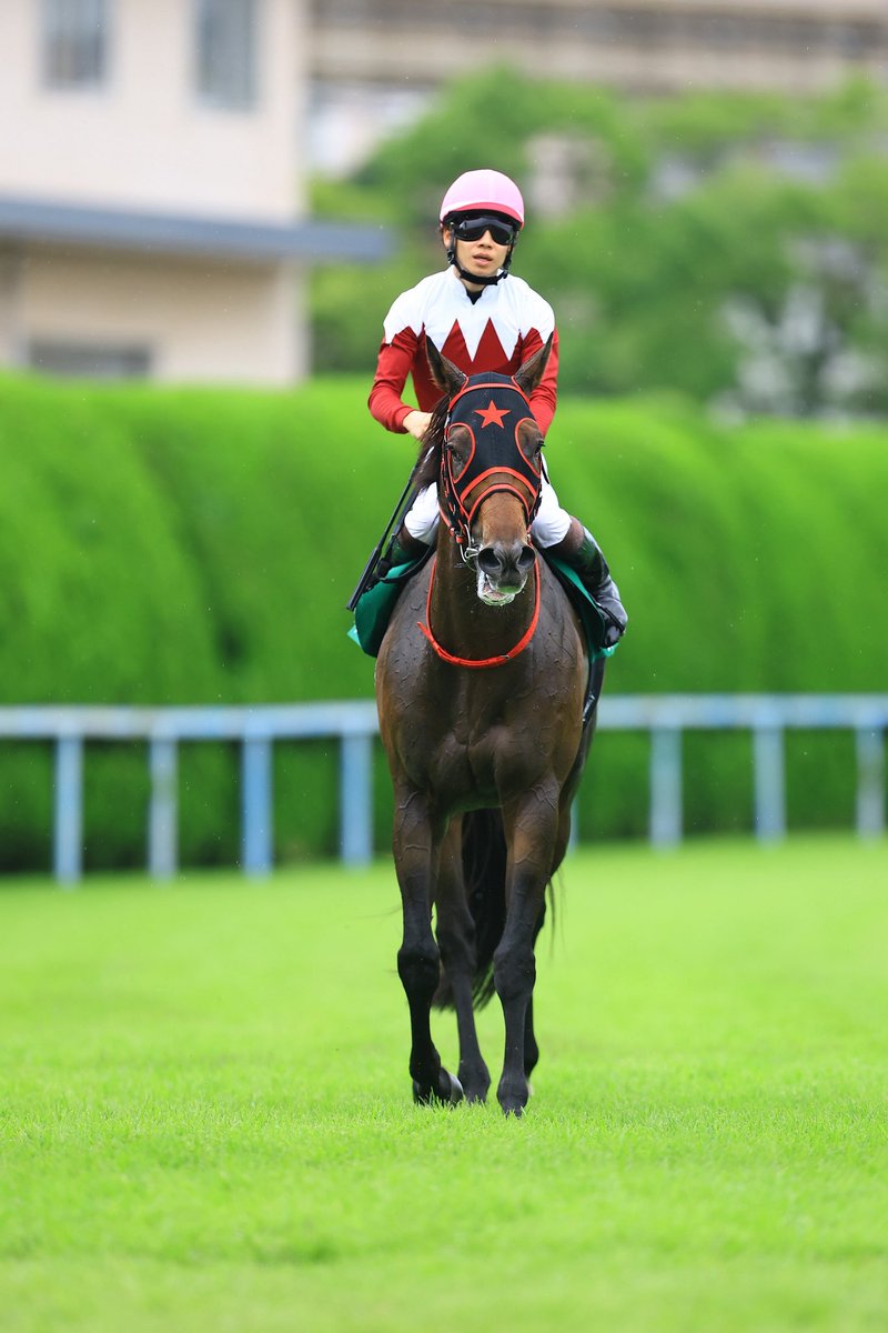 wootinfo's tweet photo. 今週唯一の重賞・北九州記念はこうへい騎手騎乗のフリッ��ージャブが重賞初制覇🏆おめでとうございます㊗️

#松山弘平 
#risyからwootウートに名称変更進行中 
#小倉競馬場 
#相武紗季さん 
#この目で拝見したかった過去イチ悲しい https://t.co/B2kTaXdghb