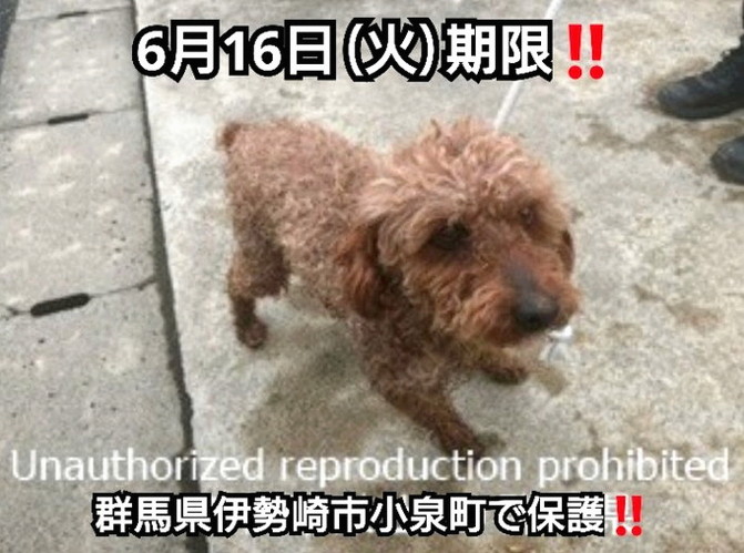 OzcanCihan1's tweet photo. べにゅーわんおーわんせくすとら観てたらいちごミルクワード出てきて飛鳥ちゃんも出てきた https://t.co/Talqzwfsg9