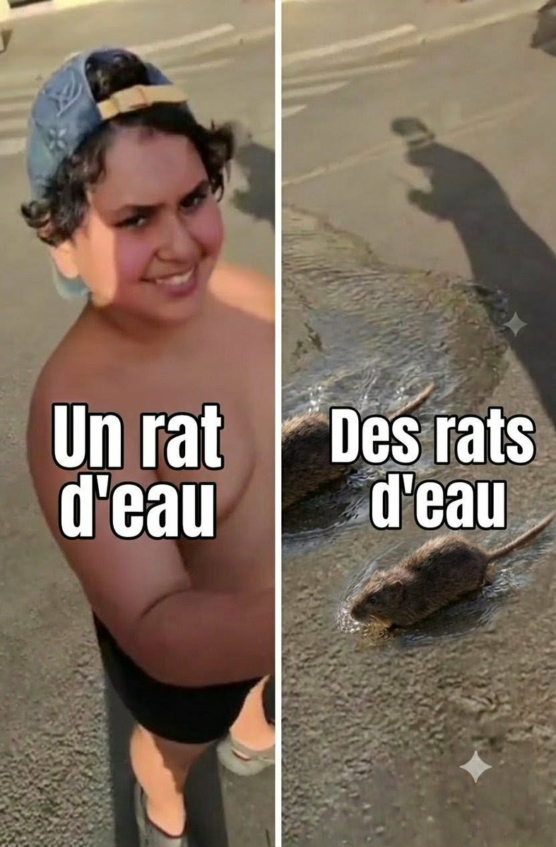 HPotdeterre's tweet photo. @kdkjskd29860 @jean_bexon https://t.co/IYJlofw7KH