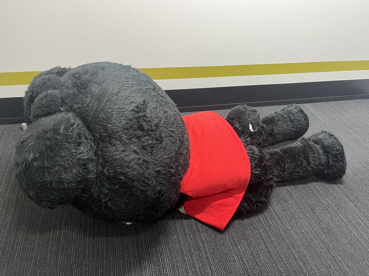 woldo_WDnagoya's tweet photo. みんなは日曜日どう過ごしたかな〜❓

ボクは昨日出題したウルド���イズの答え発表を予定してたんだけド、またもやボクの気まぐれが発動🤭

とりあえず答えは地面に埋めとくことにしたド💭

いつかまたみんなに答えを発表できたらイイなぁ🥹✨

ゴメンだド〜🙏💦

#ウルフドッグス名古屋
#ウルドくん https://t.co/8ujNbben8m