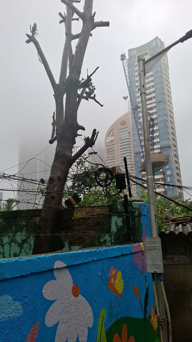 HarshPalande1's tweet photo. @mybmcWardGS @mybmc @TawdeRitu महोदय सकाळी १० वाजता आमच्या घरावर वादळी वाऱ्या मुले झाड पडले आहे परंतु अद्याप तुमची टीम इथे आली नाही आहे सकाळी मी तक्रार केली आहे परंतु तुम्हाला अजून आमच्या सामान्य माणसांच्या जीवाचे हाल कळत नसतील तर तुम्हाला आम्ही का म्हणून निवडून द्यायचं? https://t.co/sVVYnpJvn1