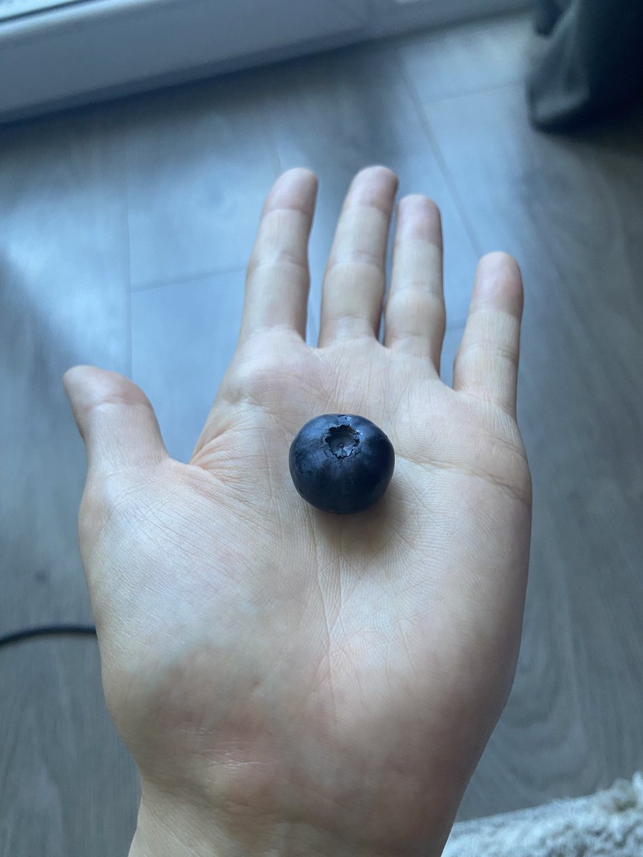 openinside19's tweet photo. ничесе ягода размером с мою голову почти https://t.co/7bmL12CnJn