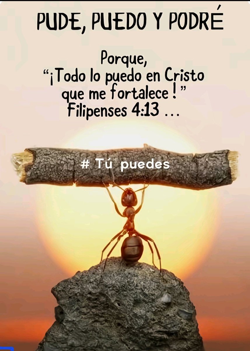 SOYCRISTIANOEVA's tweet photo. Tu puedes. https://t.co/rFbzyLAGoX