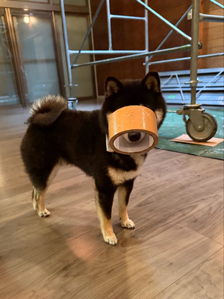 monabolta's tweet photo. 親方〜！このガムテどこに持ってけばいいっすか？ https://t.co/HnzyMNiLrX