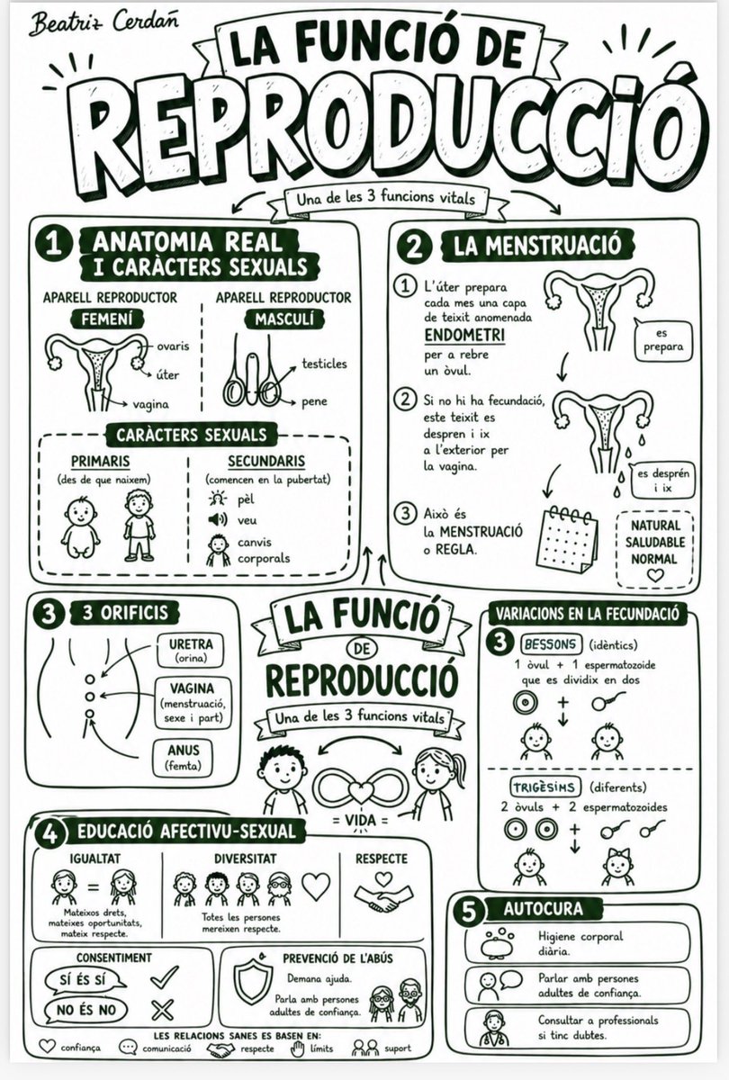 BeatrizCerdan's tweet photo. Mapas visuales sexto primaria. Ciencias. https://t.co/JGfbvHHUrT https://t.co/MJf916tED3