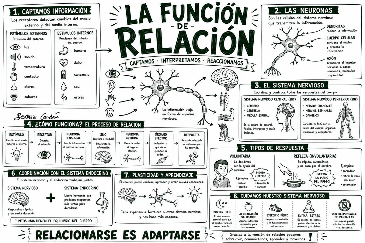 BeatrizCerdan's tweet photo. Mapas visuales sexto primaria. Ciencias. https://t.co/JGfbvHHUrT https://t.co/MJf916tED3