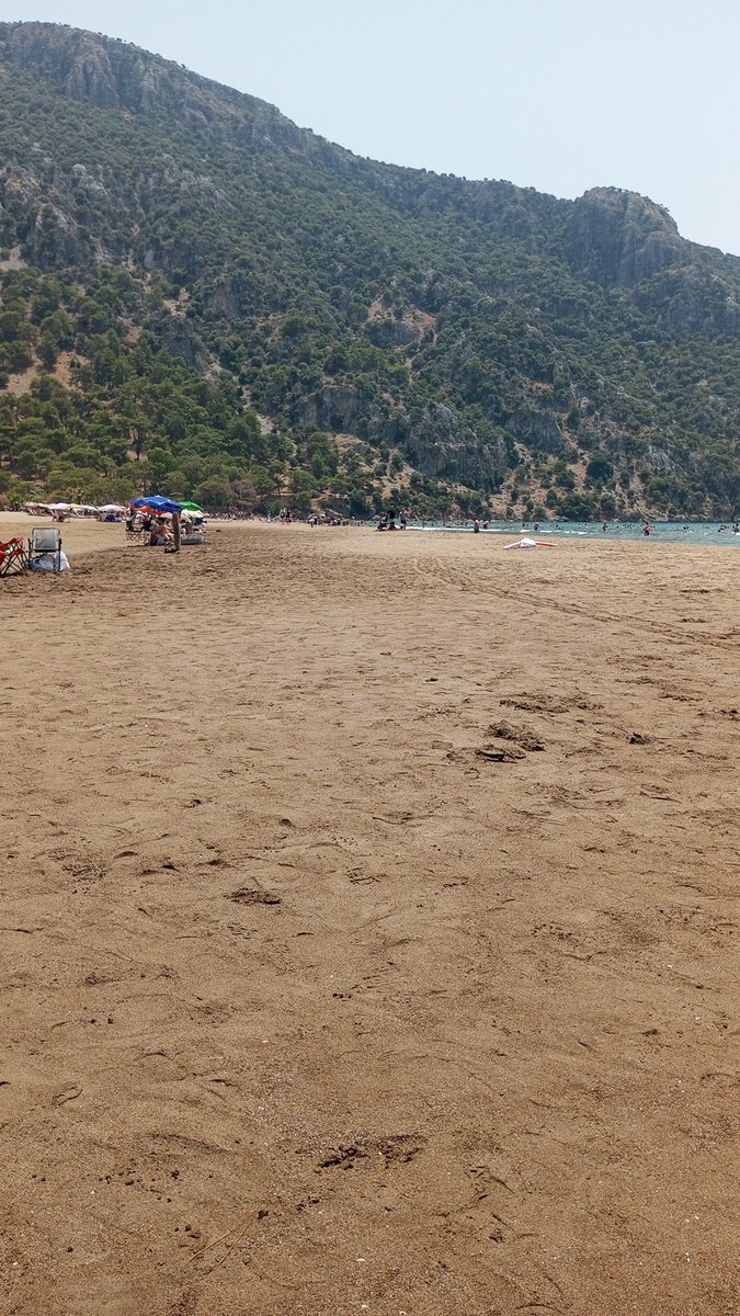 Alevcanvix's tweet photo. Dalyan iztuzu sahili çok güzel hava kimler nerede kim bira ismarlar https://t.co/KbLgJjq1RI
