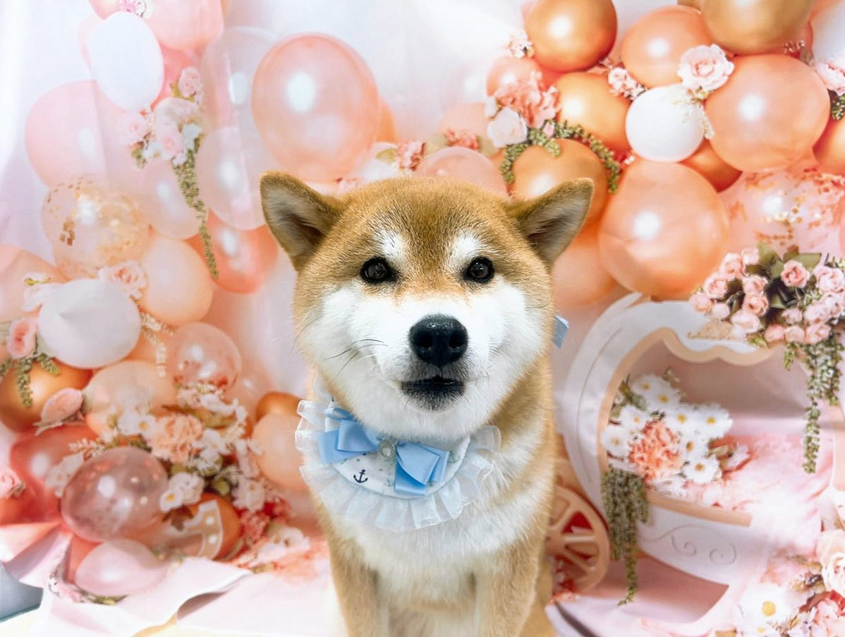 bysns77's tweet photo. 腹立つんだけど
学習予定が1単元近く学年で差が出てる
しかもベテランが遅い
言われたのは
もうこれは2学期にしようって
あのさ、そもそも1学期にやろうって言ったのはあなたたちだよね？！
逆の立場だったら必死に追い上げるけどね？！ https://t.co/BLmhpm5nJm