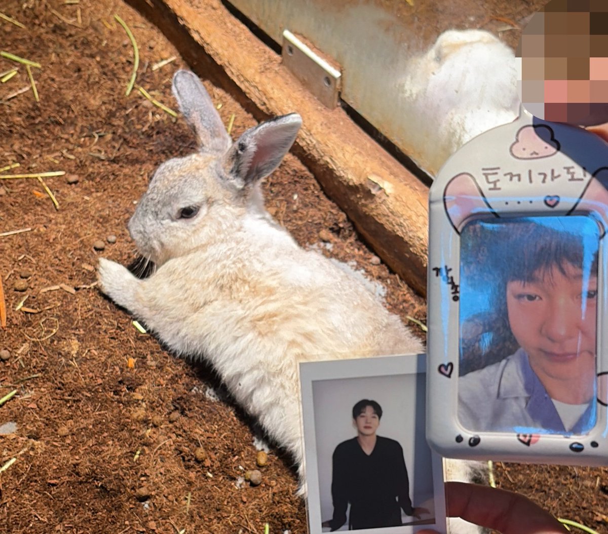 30sno2's tweet photo. 📍요정출몰지역

이창섭 보고싶어서 토끼 보러옴..♡ https://t.co/y3BCvzdu3w