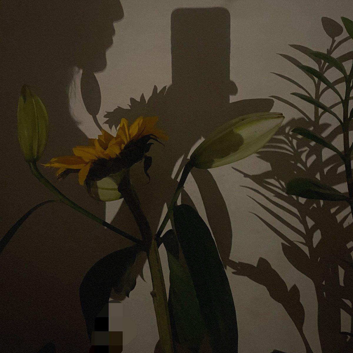 slow_1l's tweet photo. in the shadows https://t.co/TyvgA3lT2x