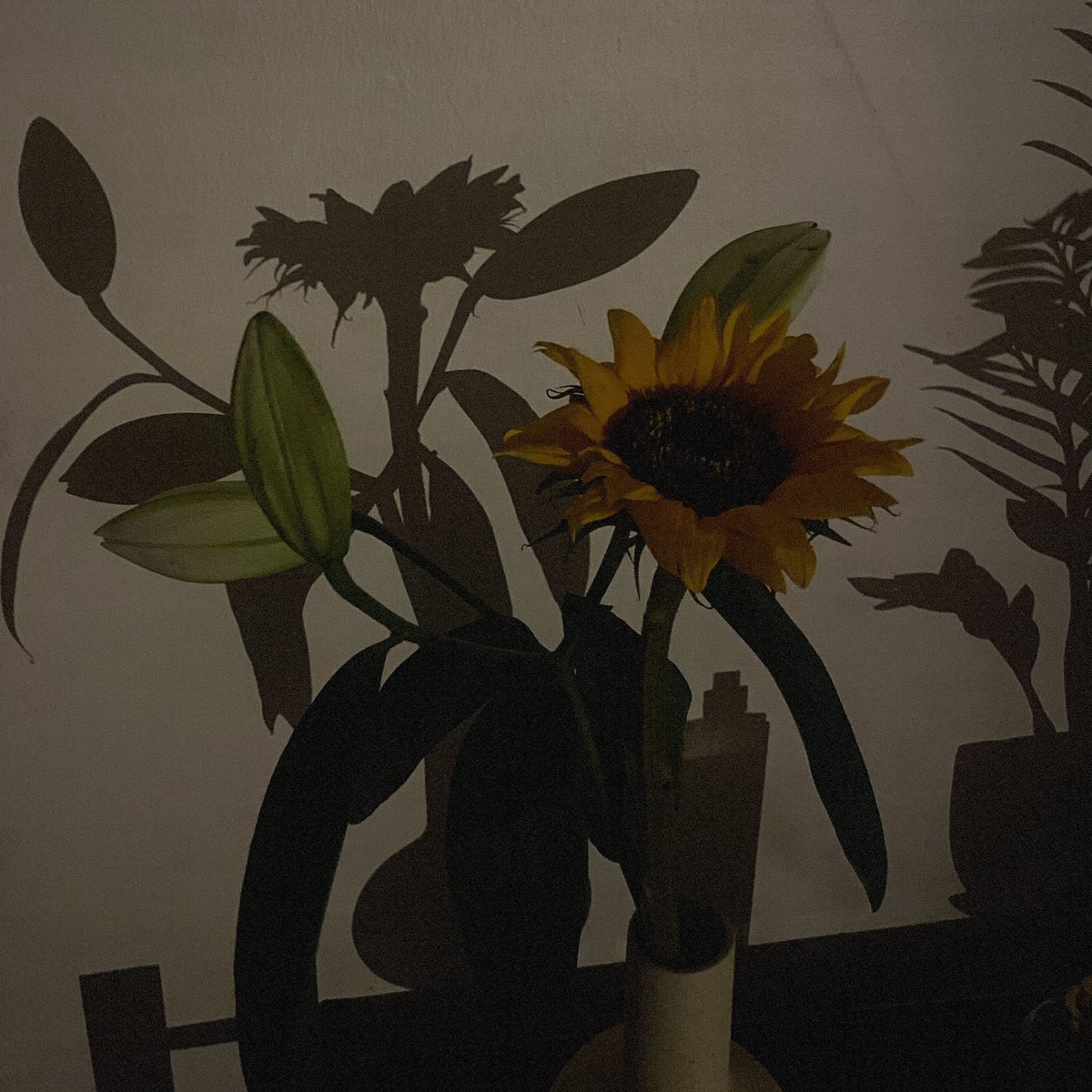 slow_1l's tweet photo. in the shadows https://t.co/TyvgA3lT2x