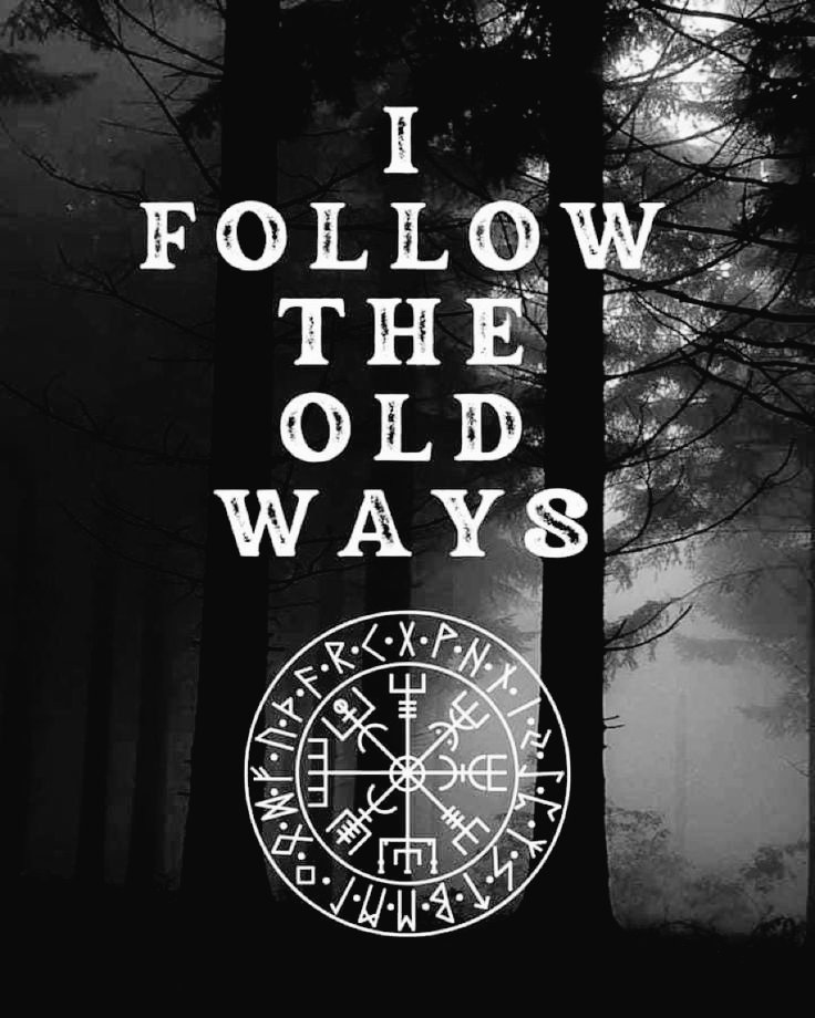 ProudWomen3567's tweet photo. 🐦‍⬛⚔️❤️ https://t.co/53biraH8XK