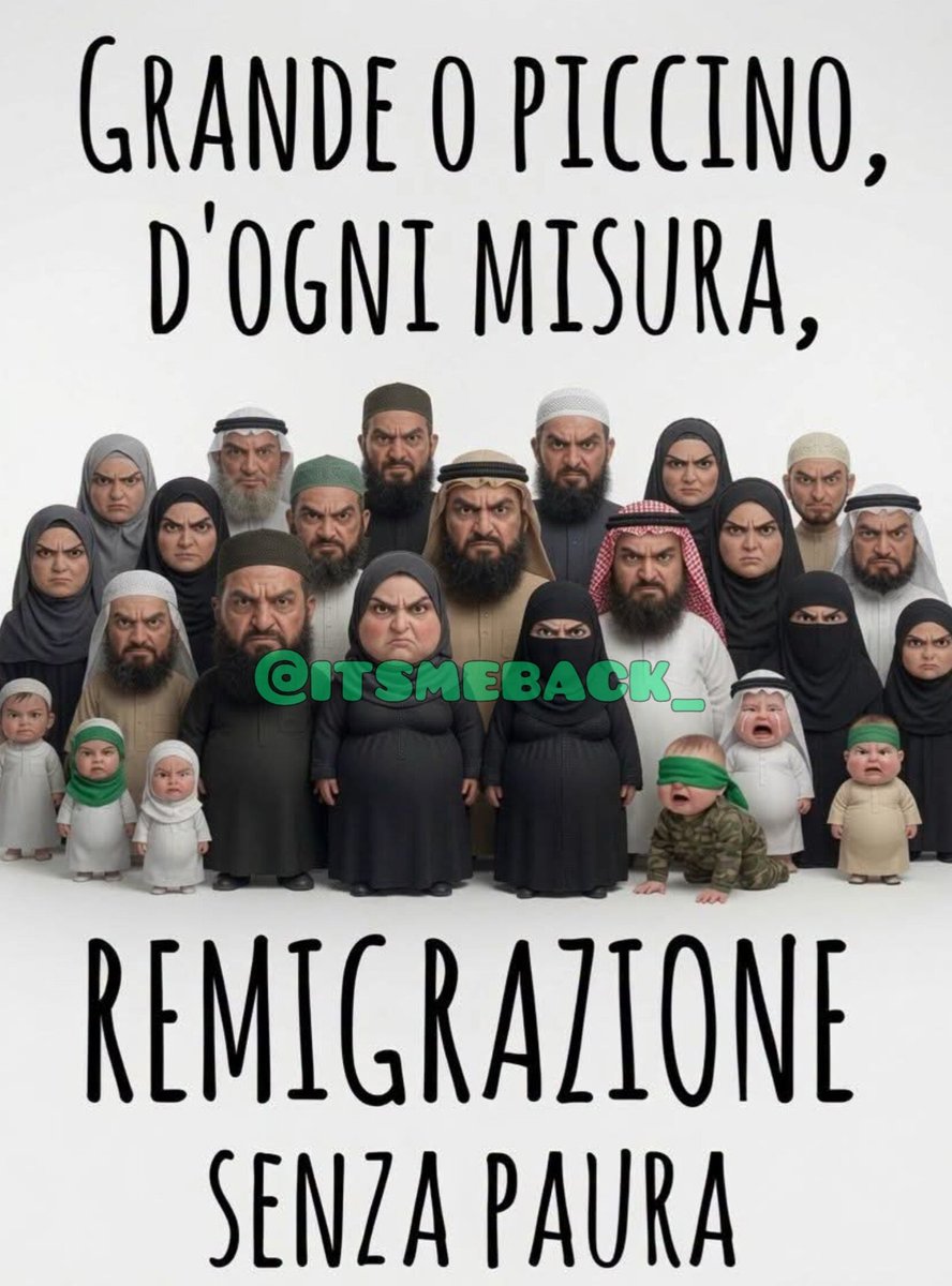 itsmeback_'s tweet photo. Grandi o piccini, di ogni misura, #remigrazione senza paura.

#migranti #remigration #remigracion https://t.co/SjEHropQo4